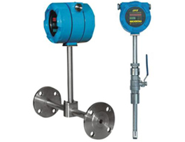 分體式熱式氣體質(zhì)量流量計(jì)